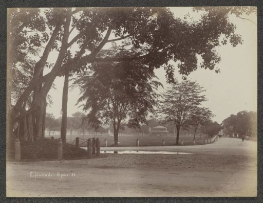 Park with pedestrians in Singapore