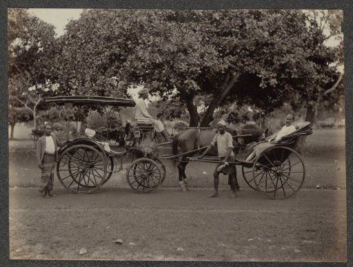 Horse and carriage and rickshaw, possibly in Ceylon