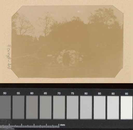 Landscape with trees