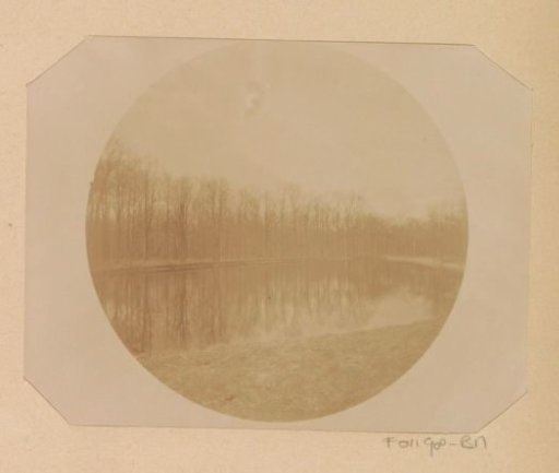 Lake in a forest near Arnhem