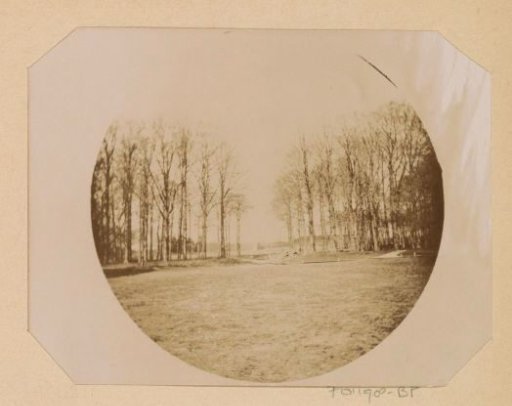 Park landscape near Arnhem