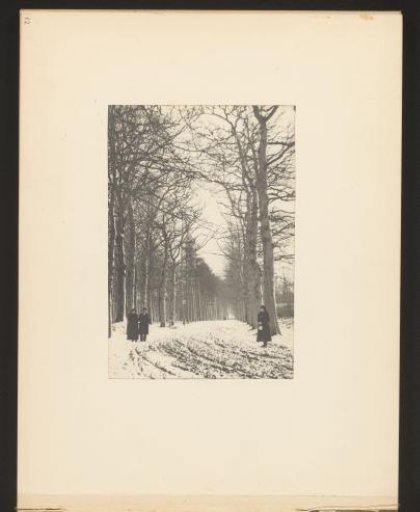 View of a snow-covered avenue with two women and a man in the foreground