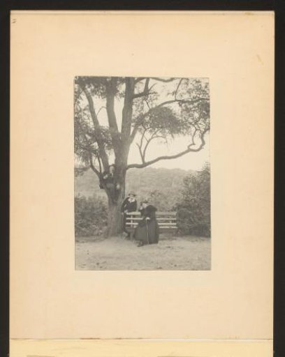 Company of two women on a bench and a man with a pipe in his hand sitting on a tree branch