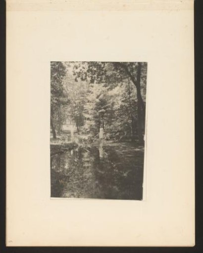 View of a small lake in a forest, with a person in a white robe standing on the shore