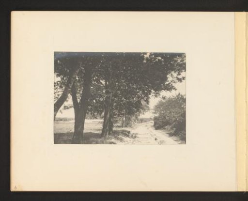 View of a path along meadows and a row of trees