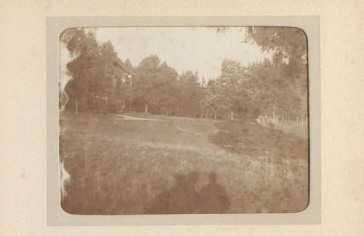View of a grassy field in the forest with a house in the background