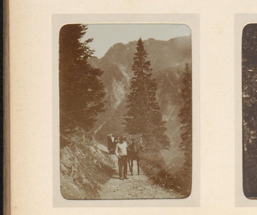 Man with a pony carrying firewood on a mountain path