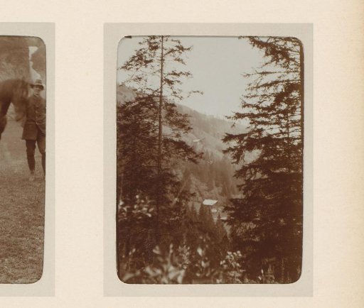 View through coniferous trees at several houses on a mountainside