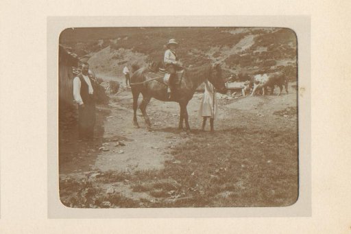 Group on a horseback ride in the mountains