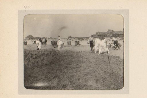 Beach Excavations