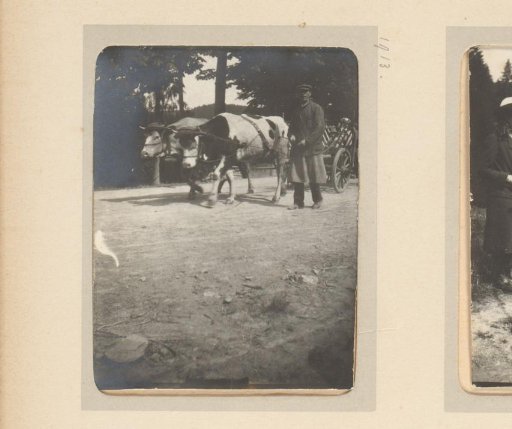 Peasant with a cart drawn by two oxen