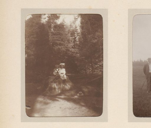 Two children sitting on a stone in a forest