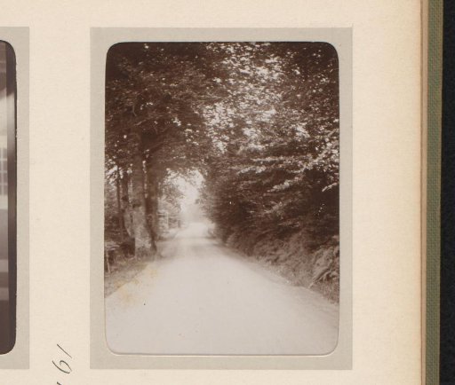 Path through a forest near Territet