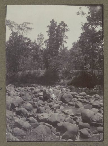 Man and woman standing among ferns in 's Lands Plantentuin in Buitenzorg