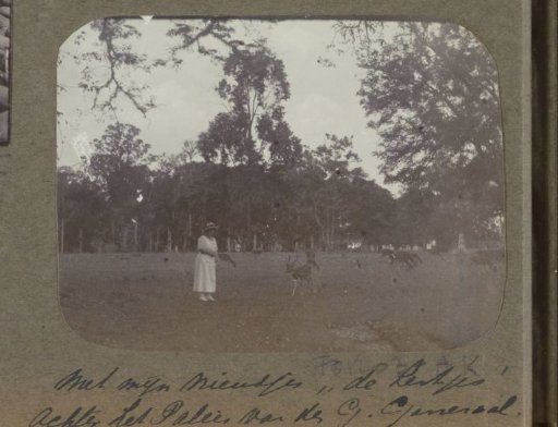 Woman with deer at the Governor-General's Palace in Buitenzorg