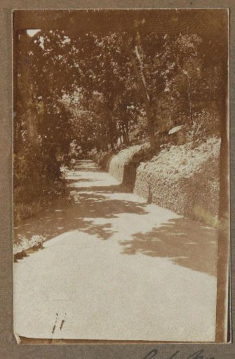 Avenue leading to the Monte Palace Hotel on Madeira