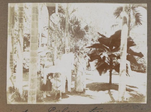 Group standing among palm trees in Suriname
