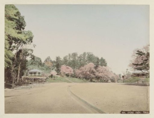 View of blooming trees and buildings in Ueno Park in Tokyo