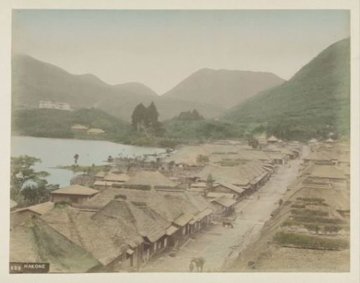 Village of Hakone and Lake Ashi seen from above