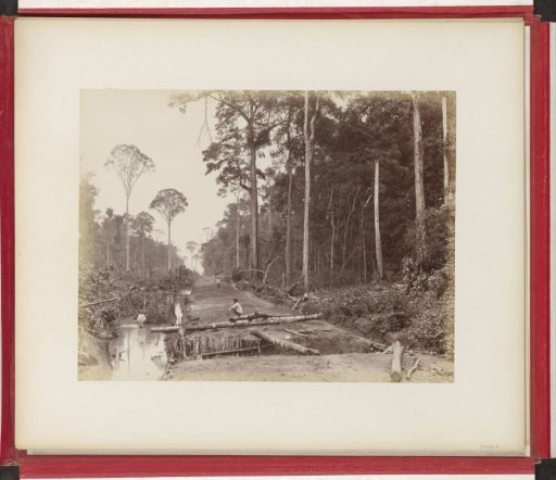 Establishment of a tobacco plantation on Sumatra, 1st stage: clearing of trees in a forest and road construction