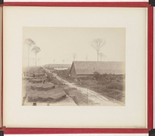 Establishment of a tobacco plantation on Sumatra, 7th stage: construction of shelters