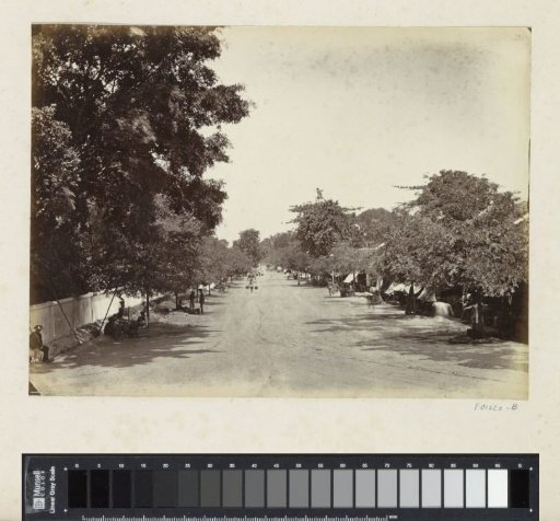 Avenue with shops in Java
