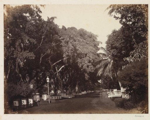 Scott Street in Weltevreden in Java