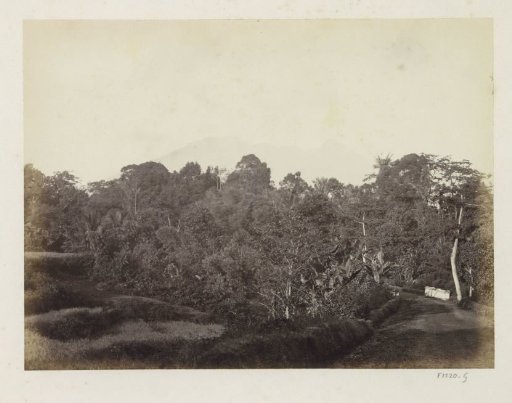 Road through mountainous landscape on Java