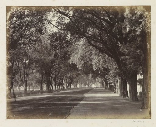Wide avenue in Java