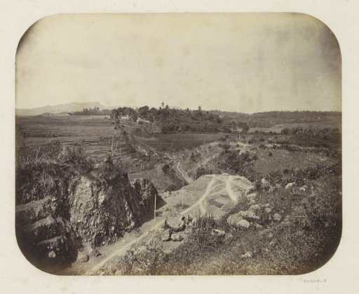 Landscape in Java with fields