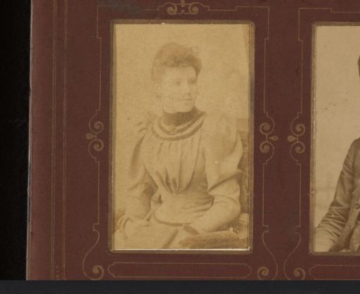 Portrait of a Seated Young Woman