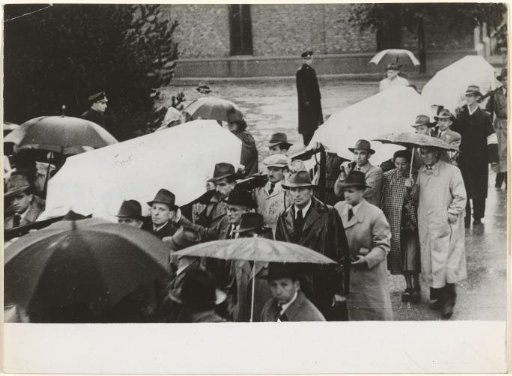 Funeral procession for the reburial of Theodor Herzl, Vienna 1949