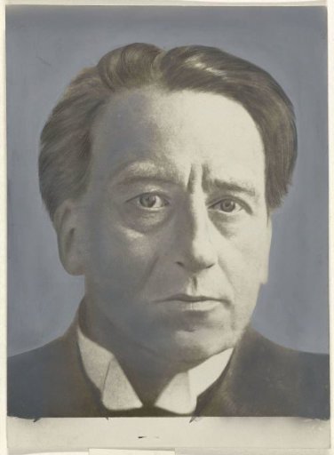 Portrait of actor Willem Royaards