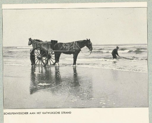 Shellfisherman on the beach with horse and cart