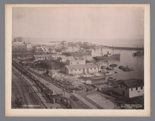 Harbour of Algiers