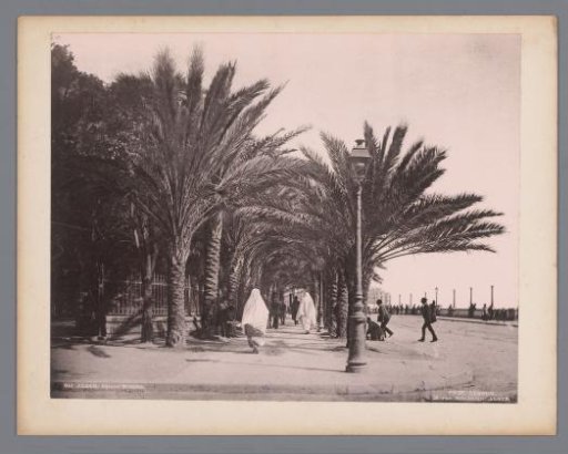 View of the Port Said Square (formerly Bresson Square) in Algiers