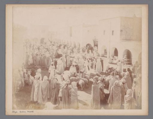View of a livestock market in Biskra, Algeria