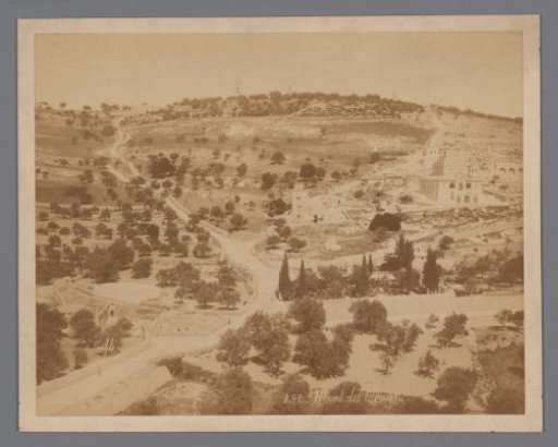 View of the Mount of Olives in Jerusalem