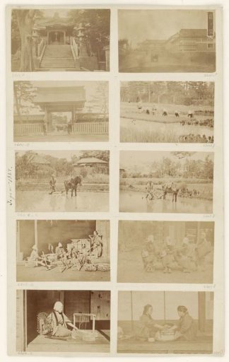Farm worker with horse and plough in a rice field