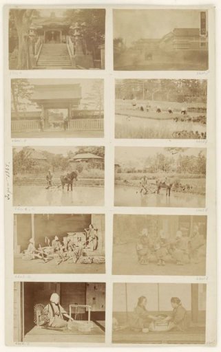 Farm workers at work in a rice field