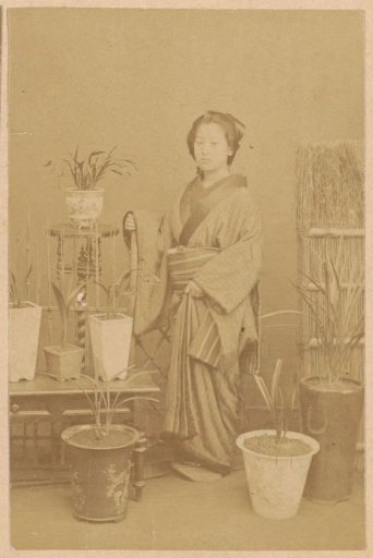 Portrait of an unknown Japanese woman