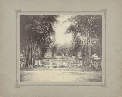 Bamboo bushes around a pond near a house, Dutch East Indies