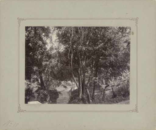 Woman with parasol in woods or park in Dutch East Indies