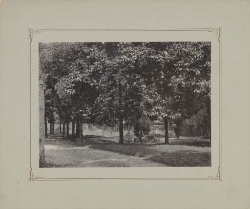 Garden or park and pendopo in Dutch East Indies