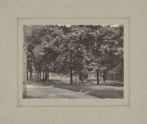 Garden or park and pendopo in Dutch East Indies