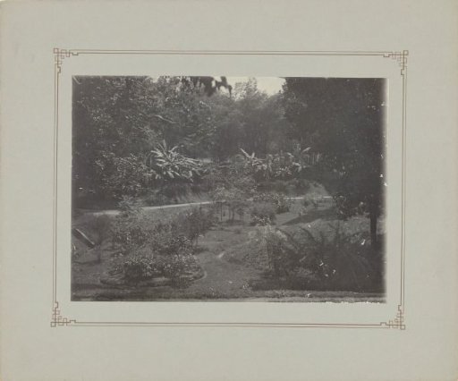 Garden or park in Dutch East Indies
