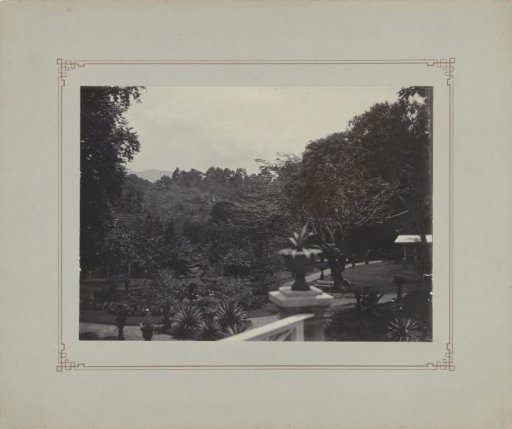 Garden or park in Dutch East Indies