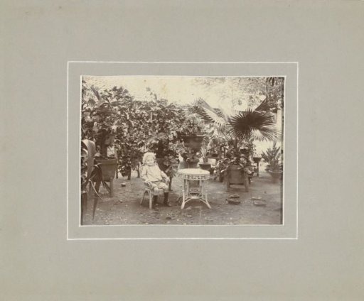 Portrait of an unknown child on a chair among plants in Dutch East Indies