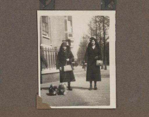 Henriëtte Wassink and another woman with dogs on the street