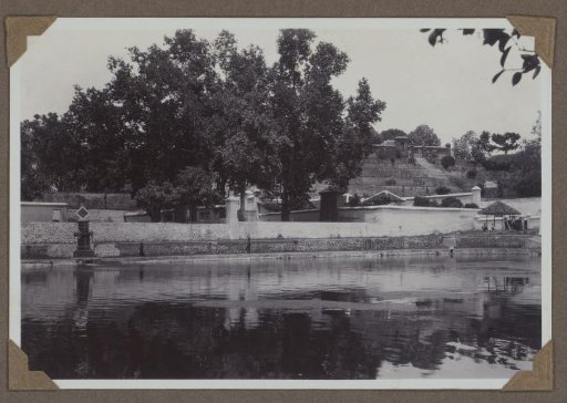 Water, probably the pond of the Mayura Water Palace in Cakranegara